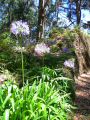 Madeira0735.JPG